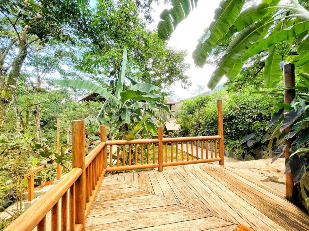 ויז'אוויסנסיו La Nube Eco-Hotel מראה חיצוני תמונה